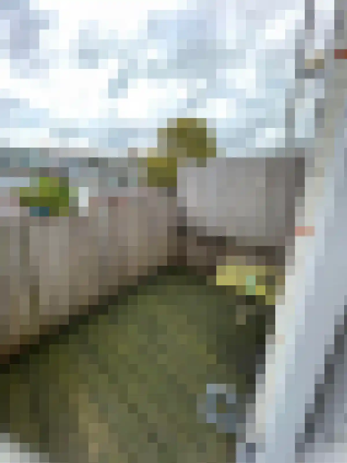Morsweg Leiden thumbnail 6
