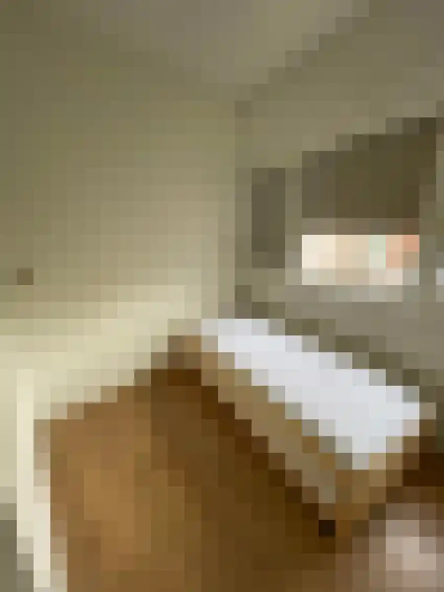 Morsweg Leiden thumbnail 8