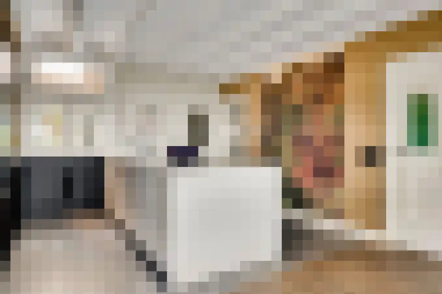 Mortel 10 Roggel thumbnail 10