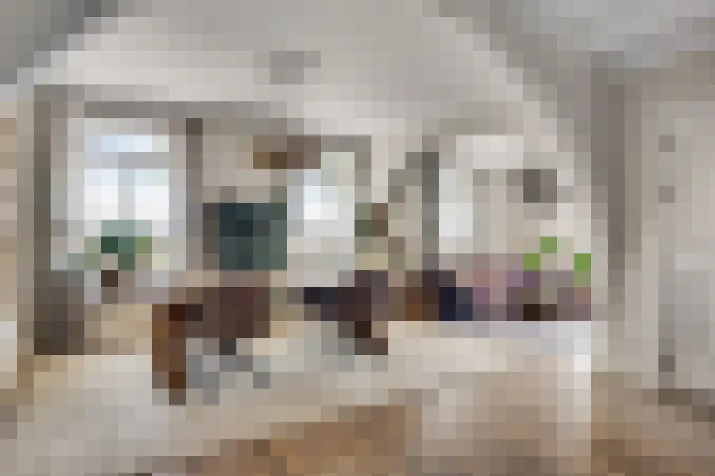 Mortel 10 Roggel thumbnail 15