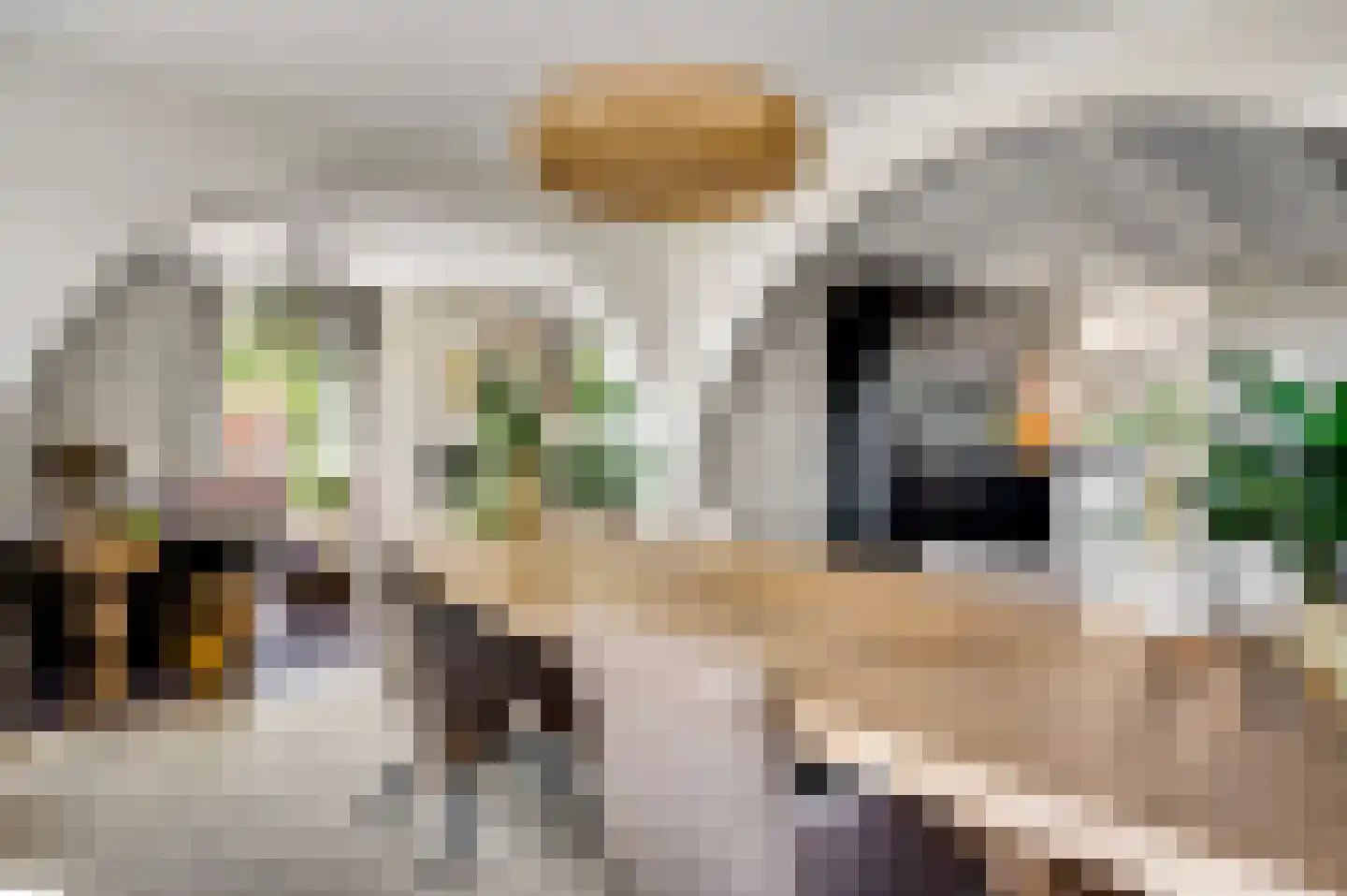 Mortel 10 Roggel thumbnail 16