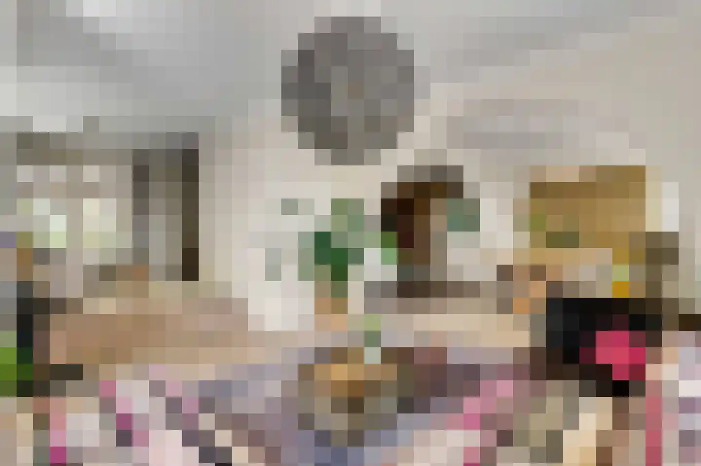 Mortel 10 Roggel thumbnail 17