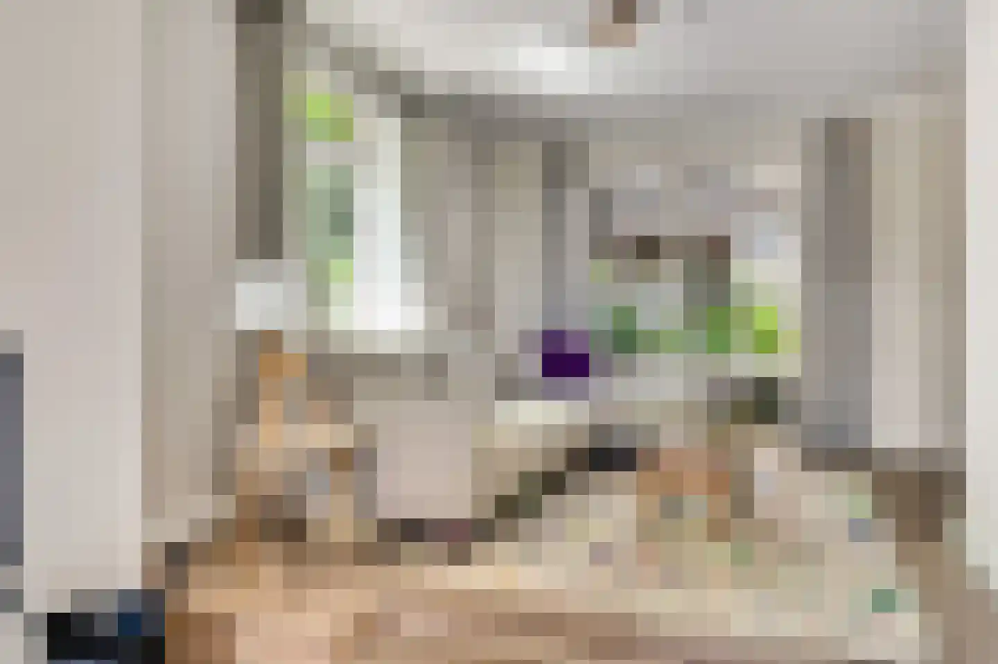Mortel 10 Roggel thumbnail 19