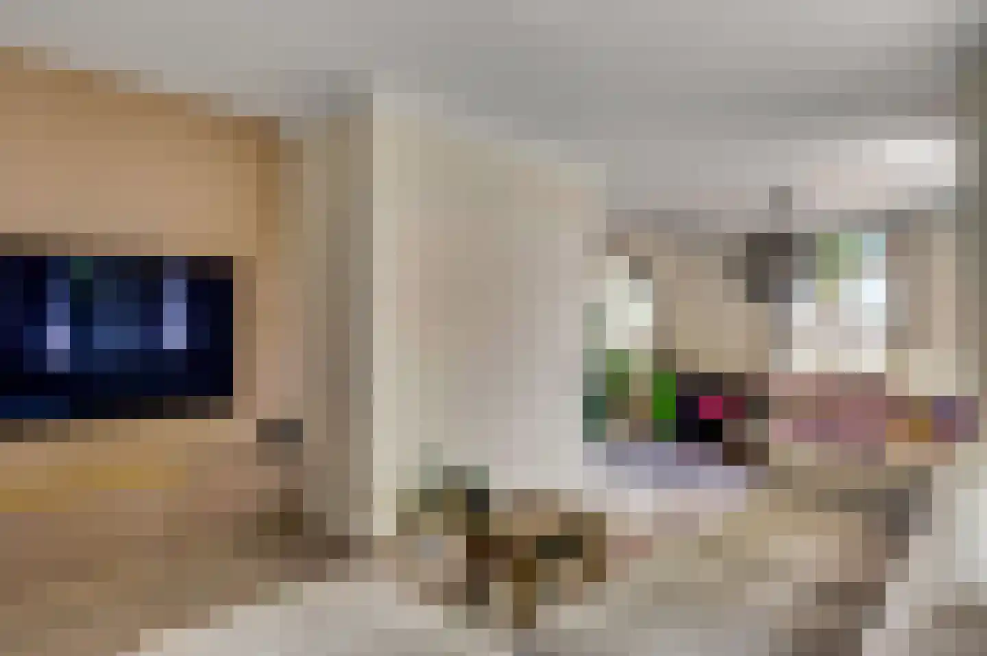 Mortel 10 Roggel thumbnail 21