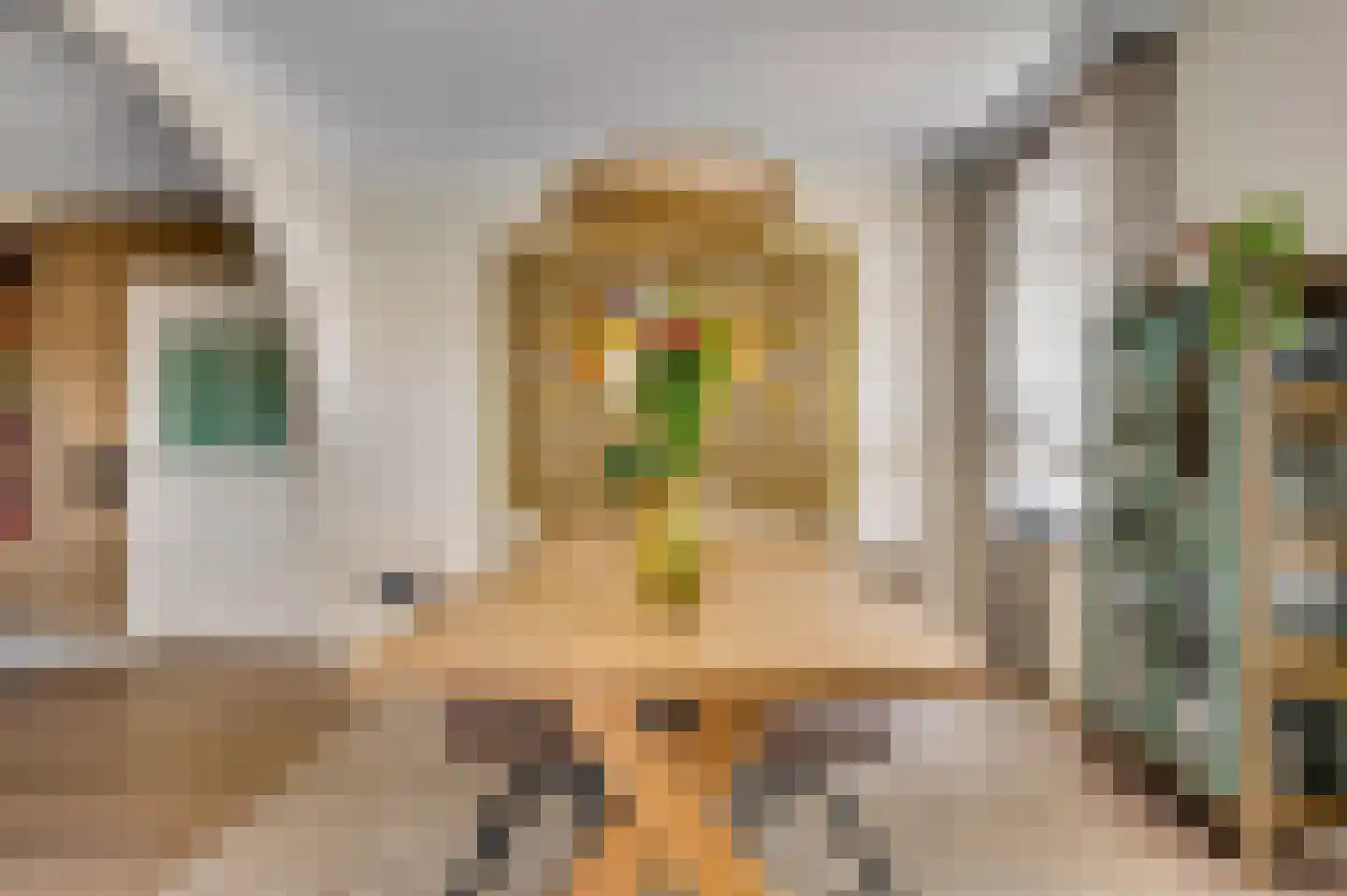 Mortel 10 Roggel thumbnail 24