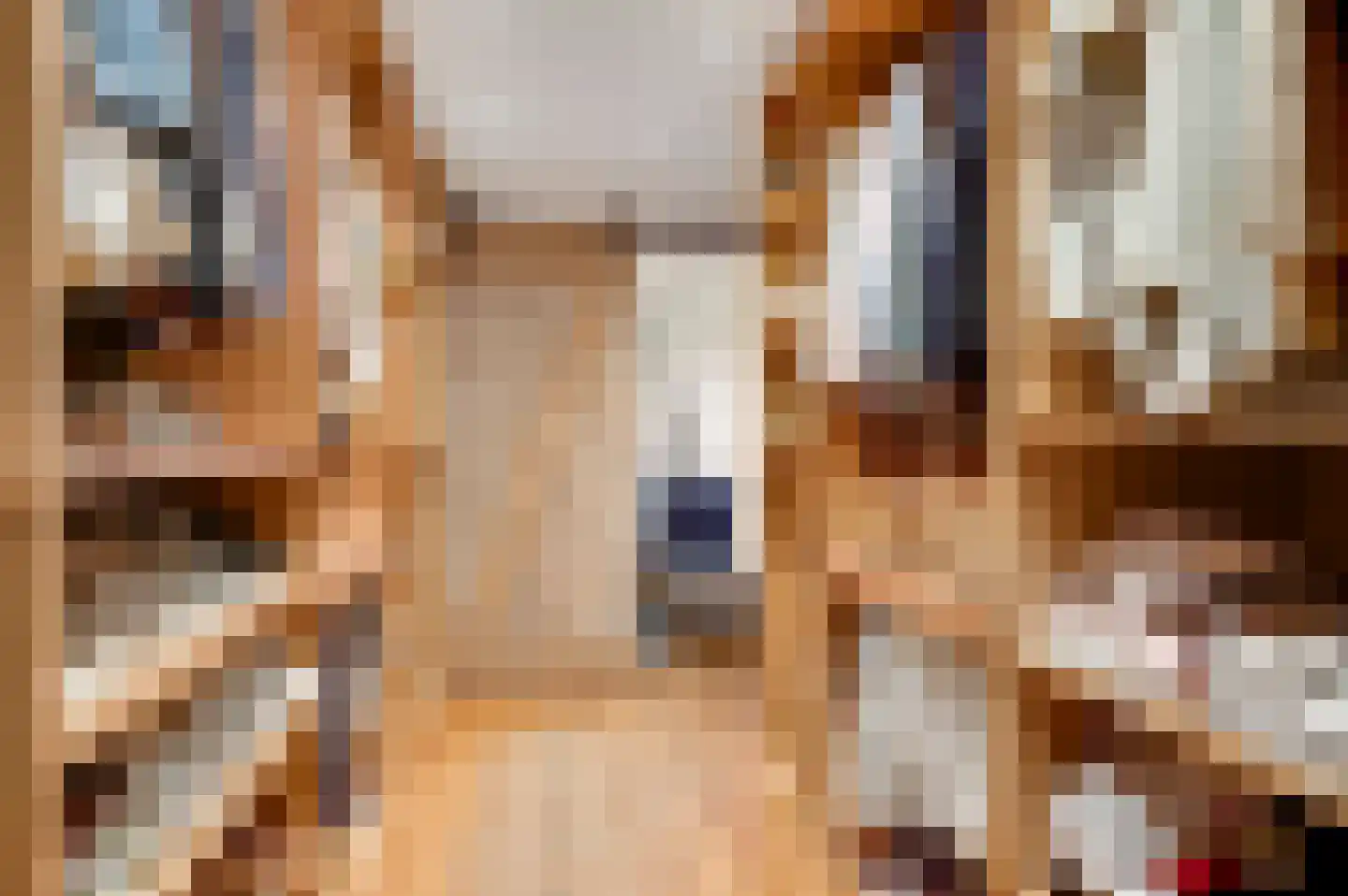 Mortel 10 Roggel thumbnail 25