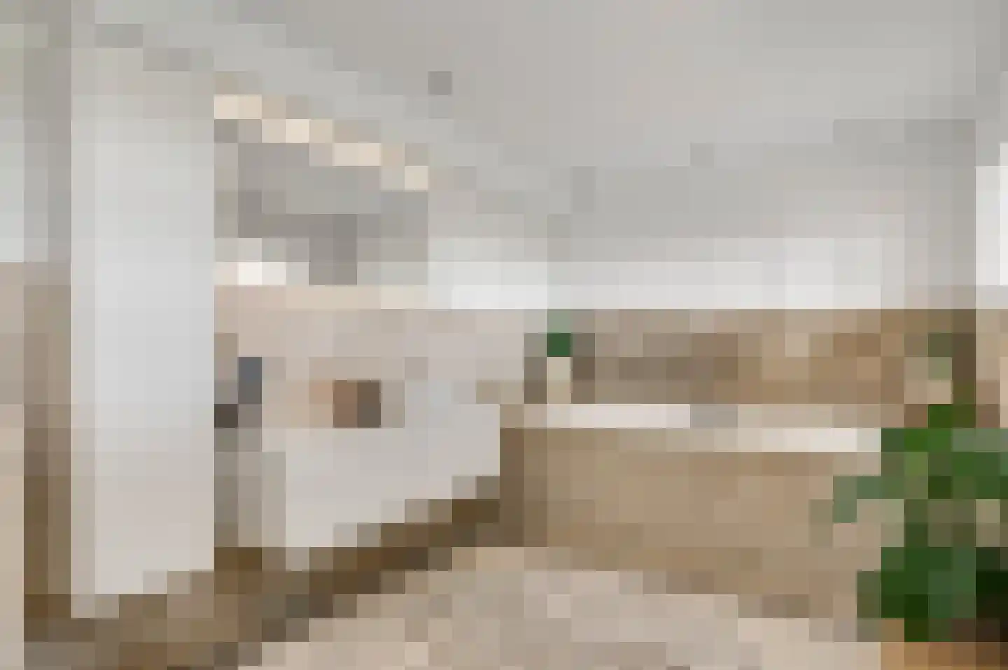 Mortel 10 Roggel thumbnail 28