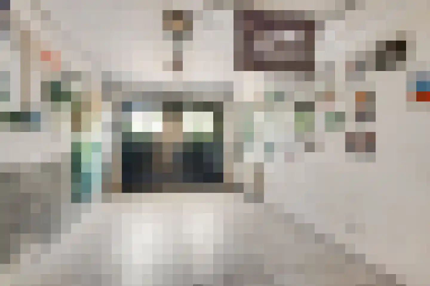 Mortel 10 Roggel thumbnail 39