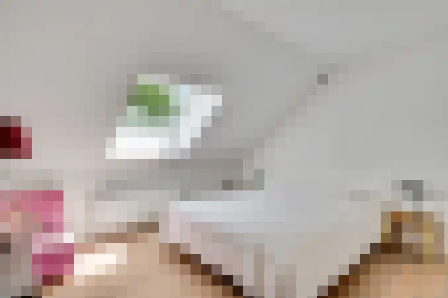 Mortel 10 Roggel thumbnail 41