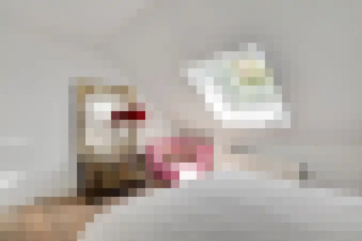 Mortel 10 Roggel thumbnail 42