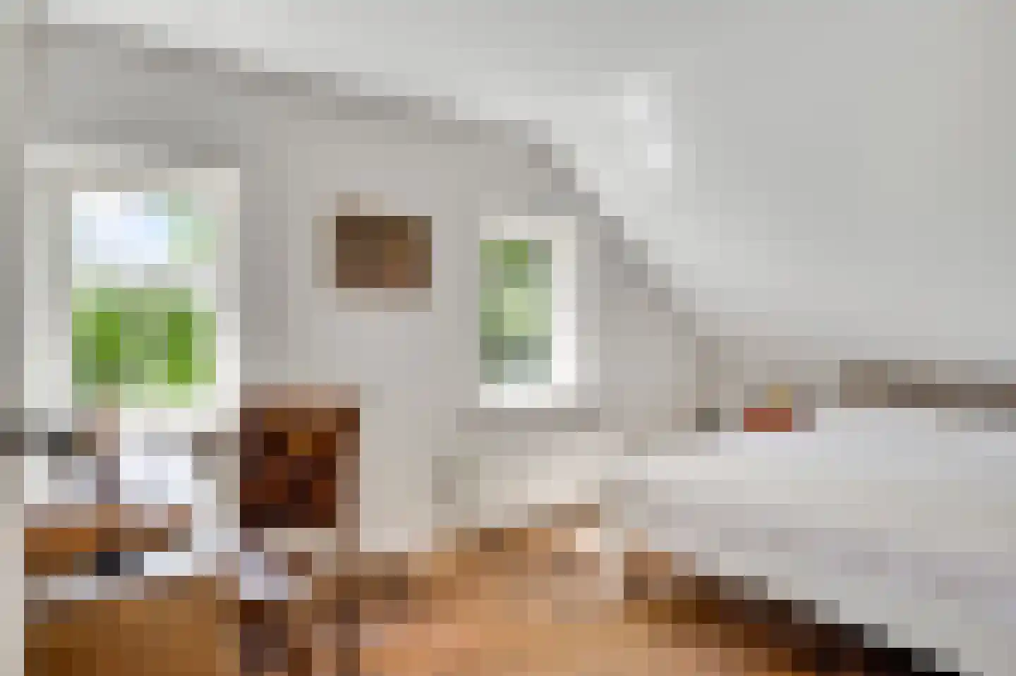 Mortel 10 Roggel thumbnail 48