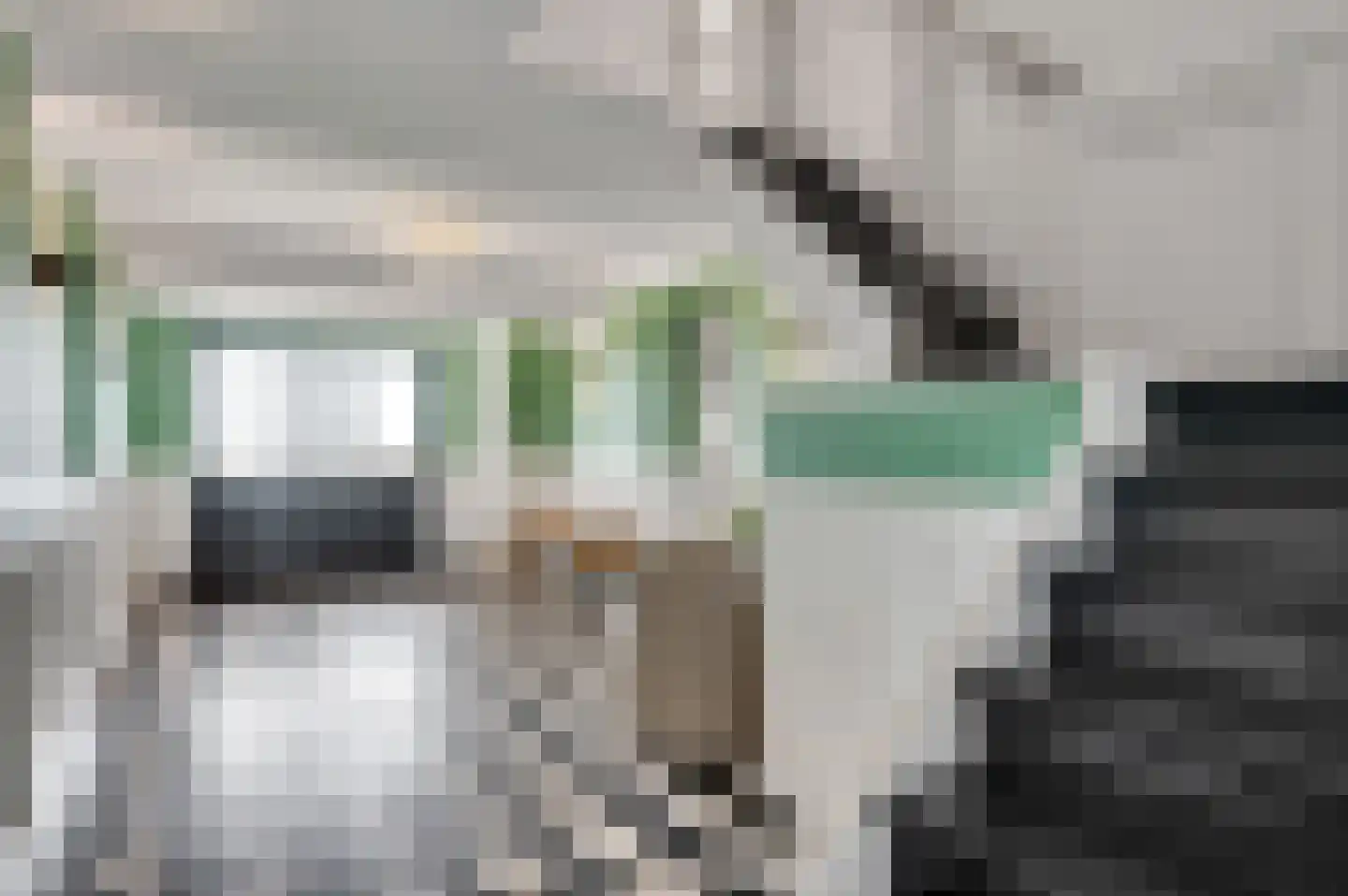 Mortel 10 Roggel thumbnail 5