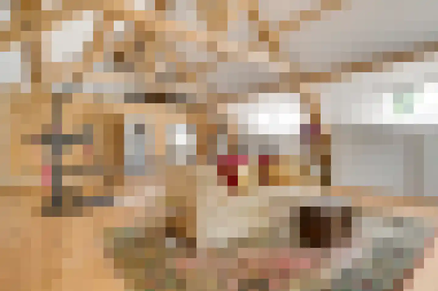 Mortel 10 Roggel thumbnail 53