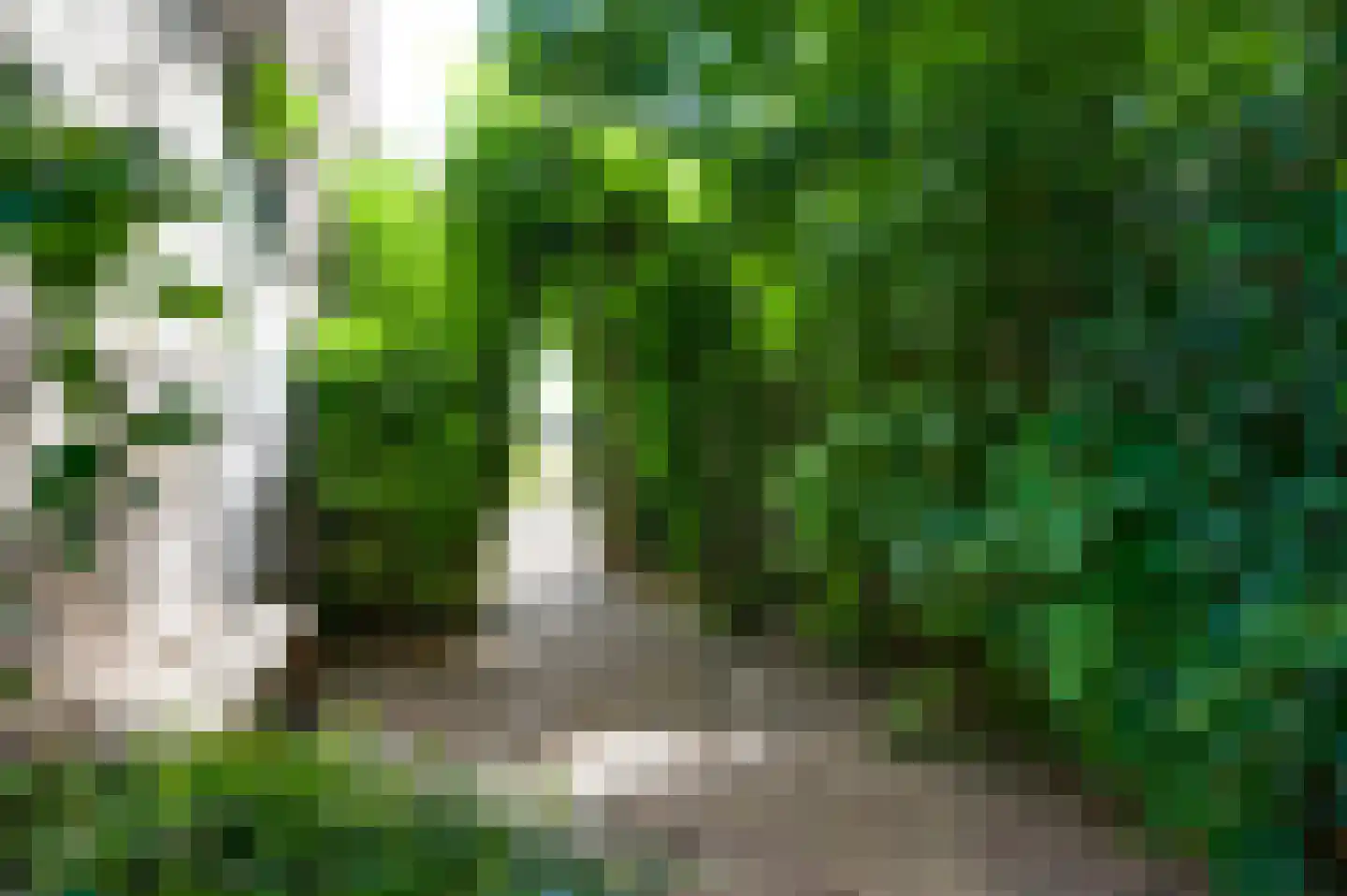 Mortel 10 Roggel thumbnail 56