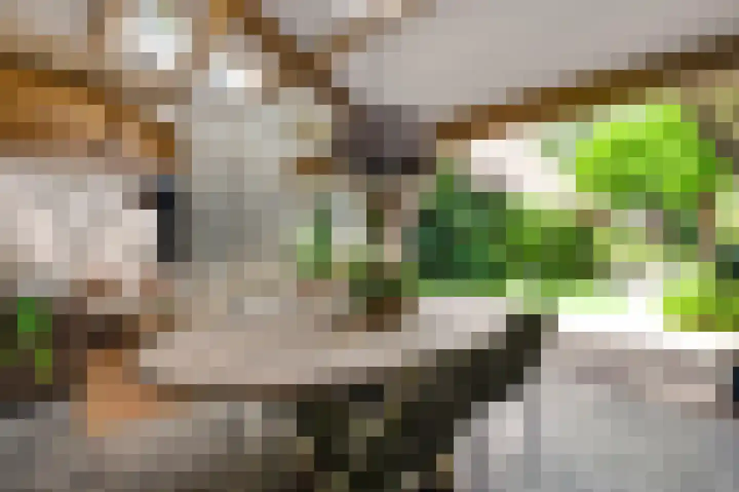 Mortel 10 Roggel thumbnail 57