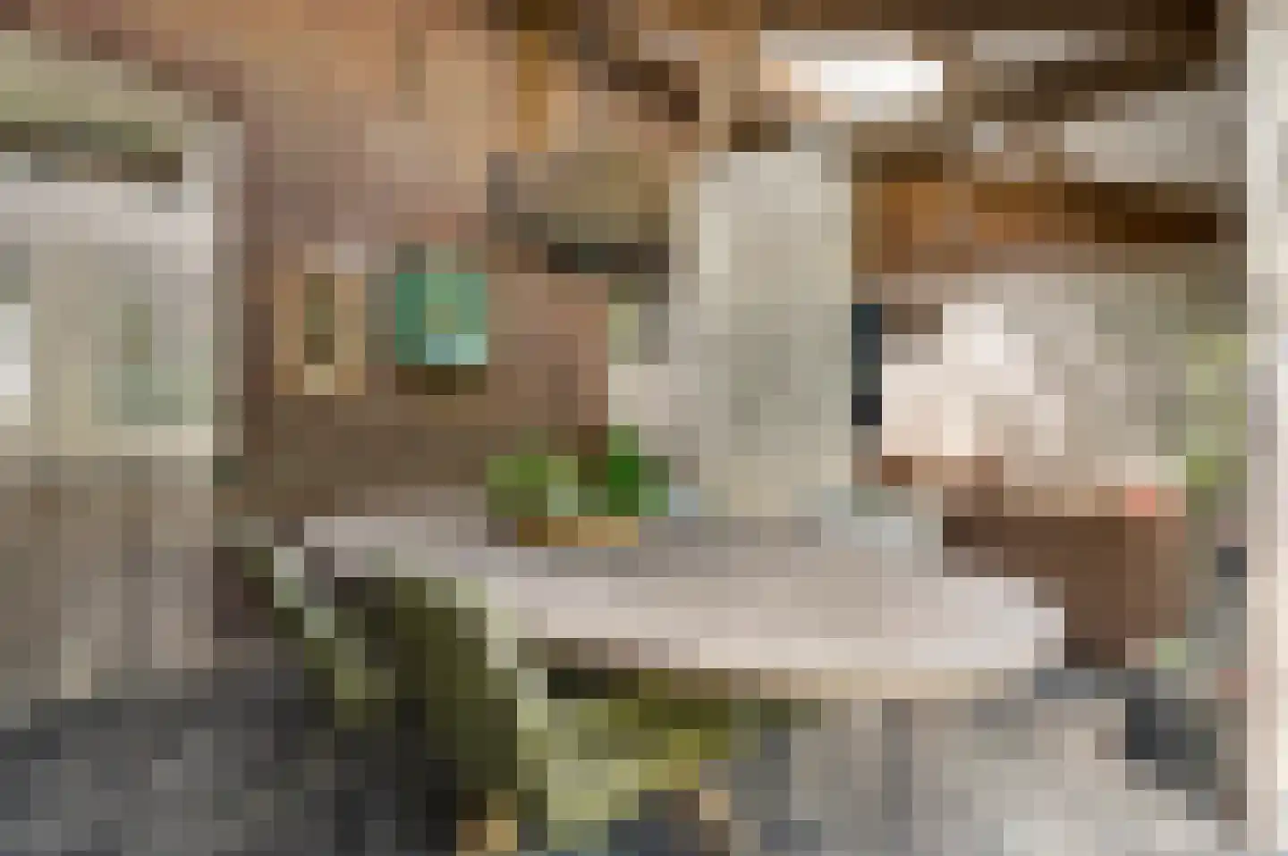 Mortel 10 Roggel thumbnail 58
