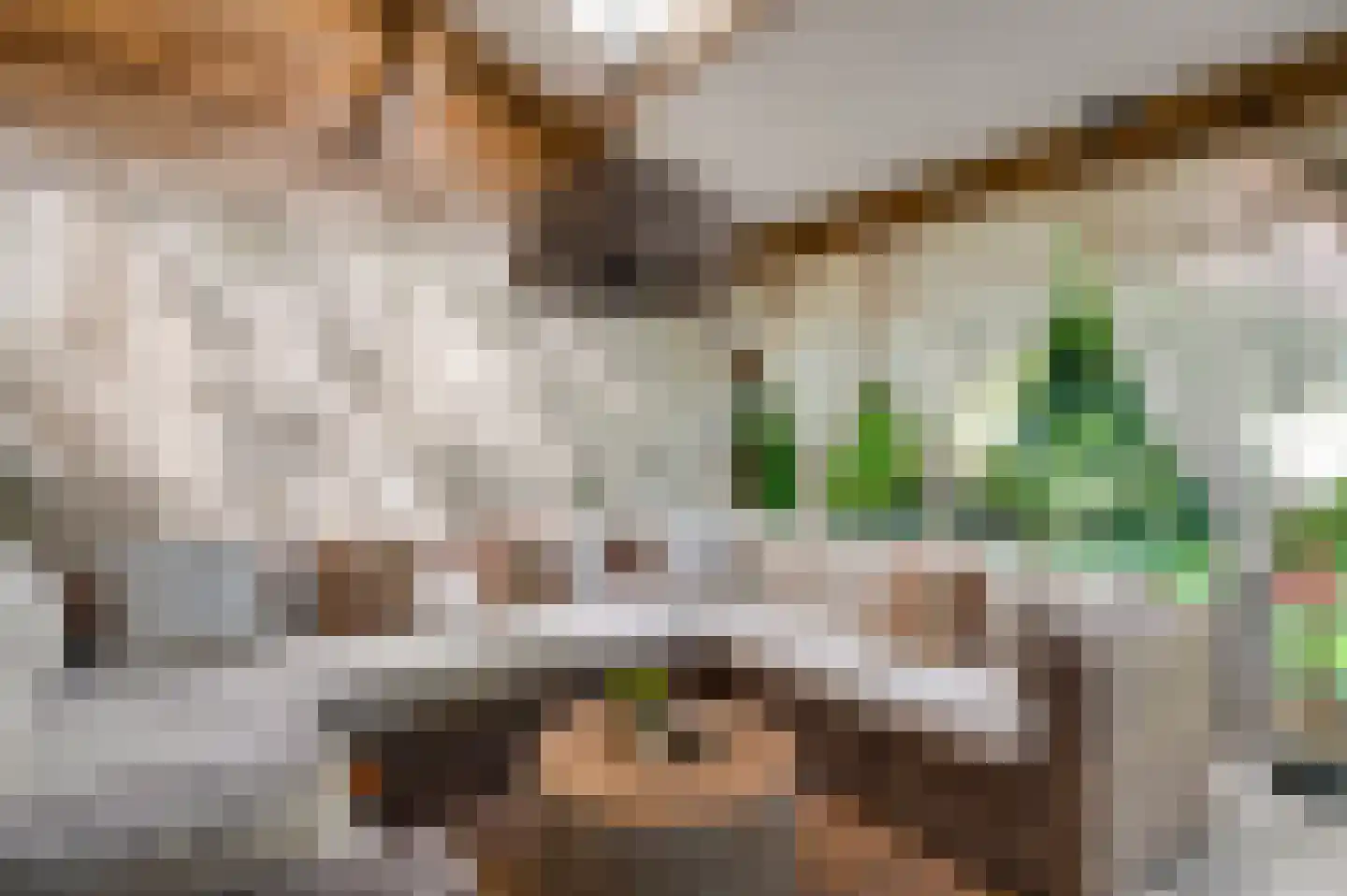 Mortel 10 Roggel thumbnail 59