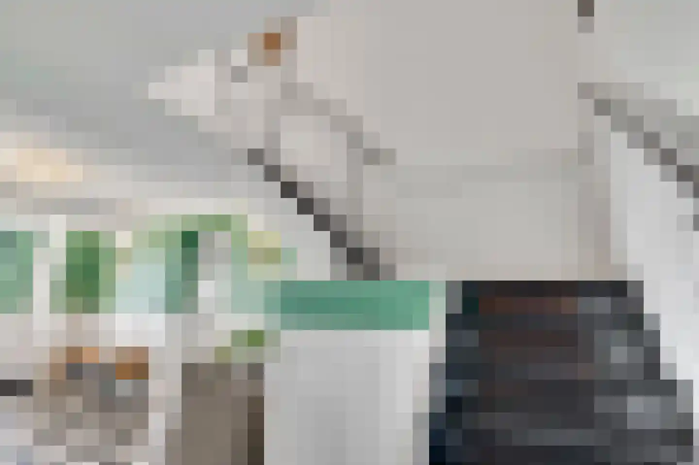 Mortel 10 Roggel thumbnail 6
