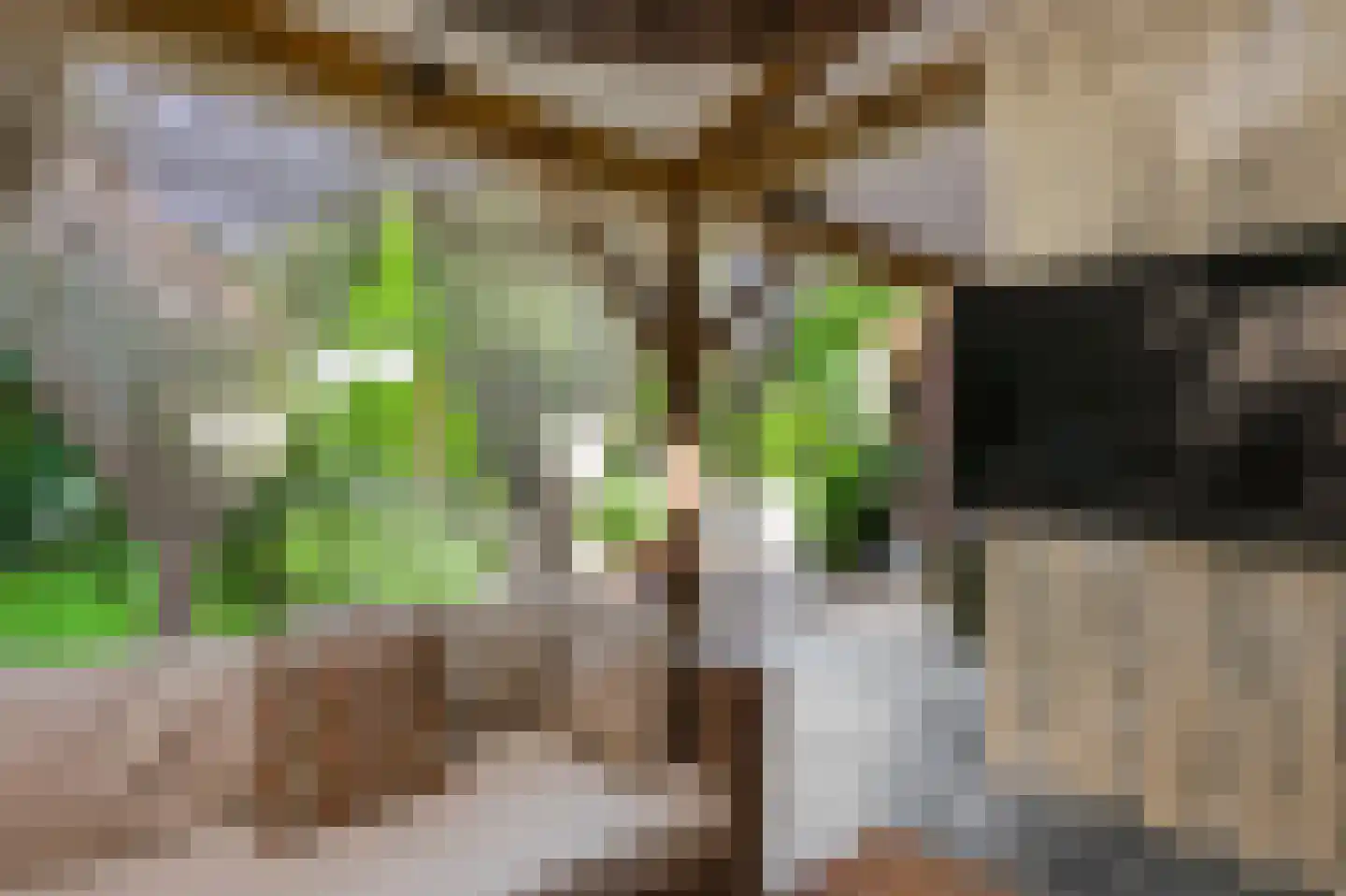 Mortel 10 Roggel thumbnail 61