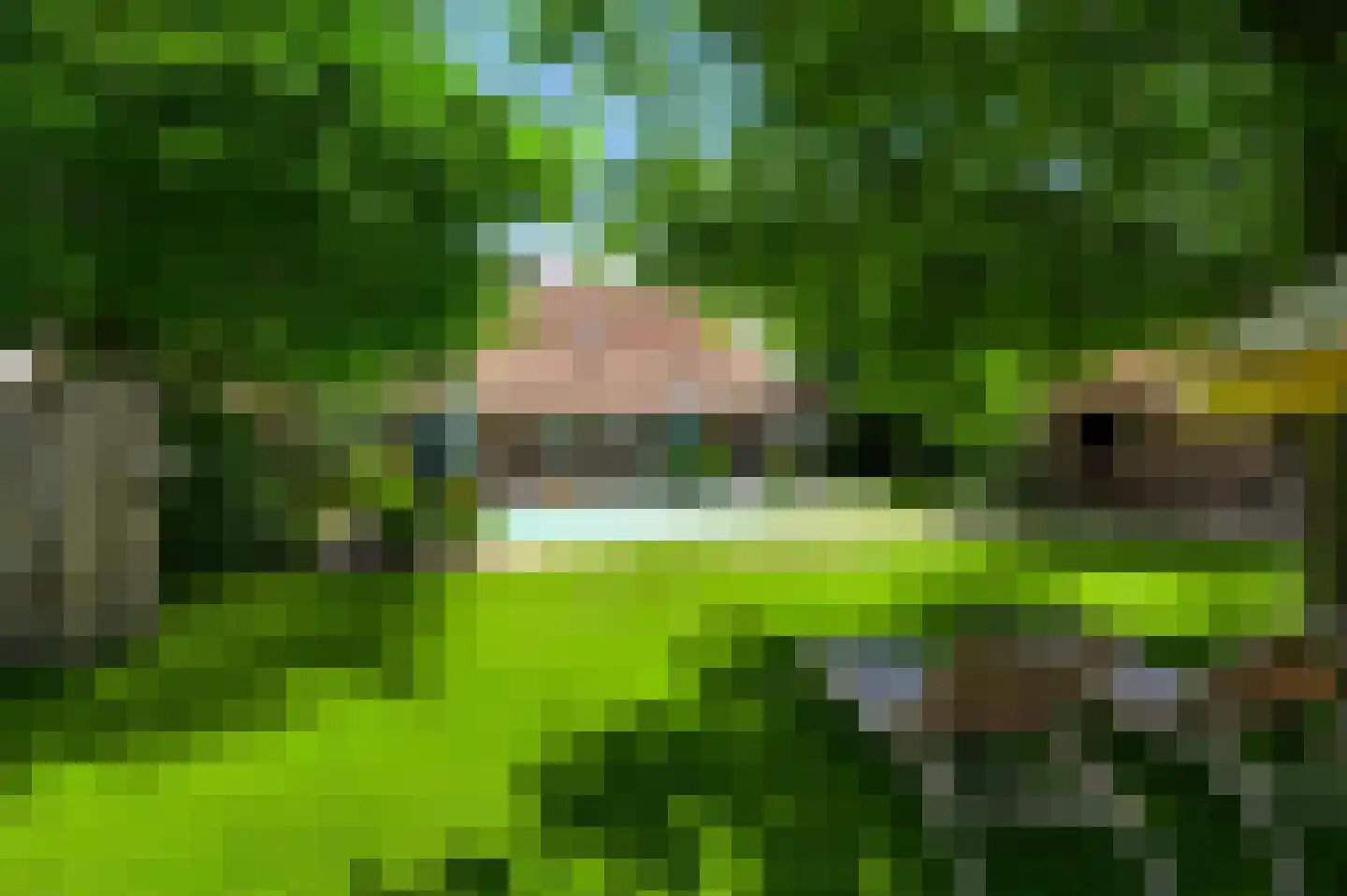 Mortel 10 Roggel thumbnail 72