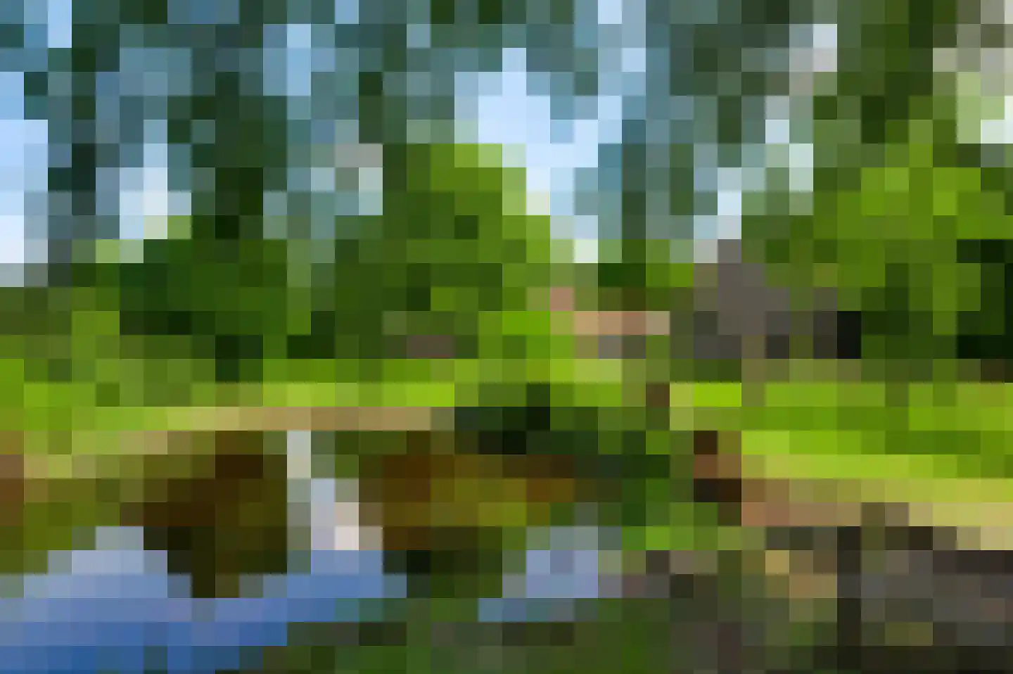 Mortel 10 Roggel thumbnail 78