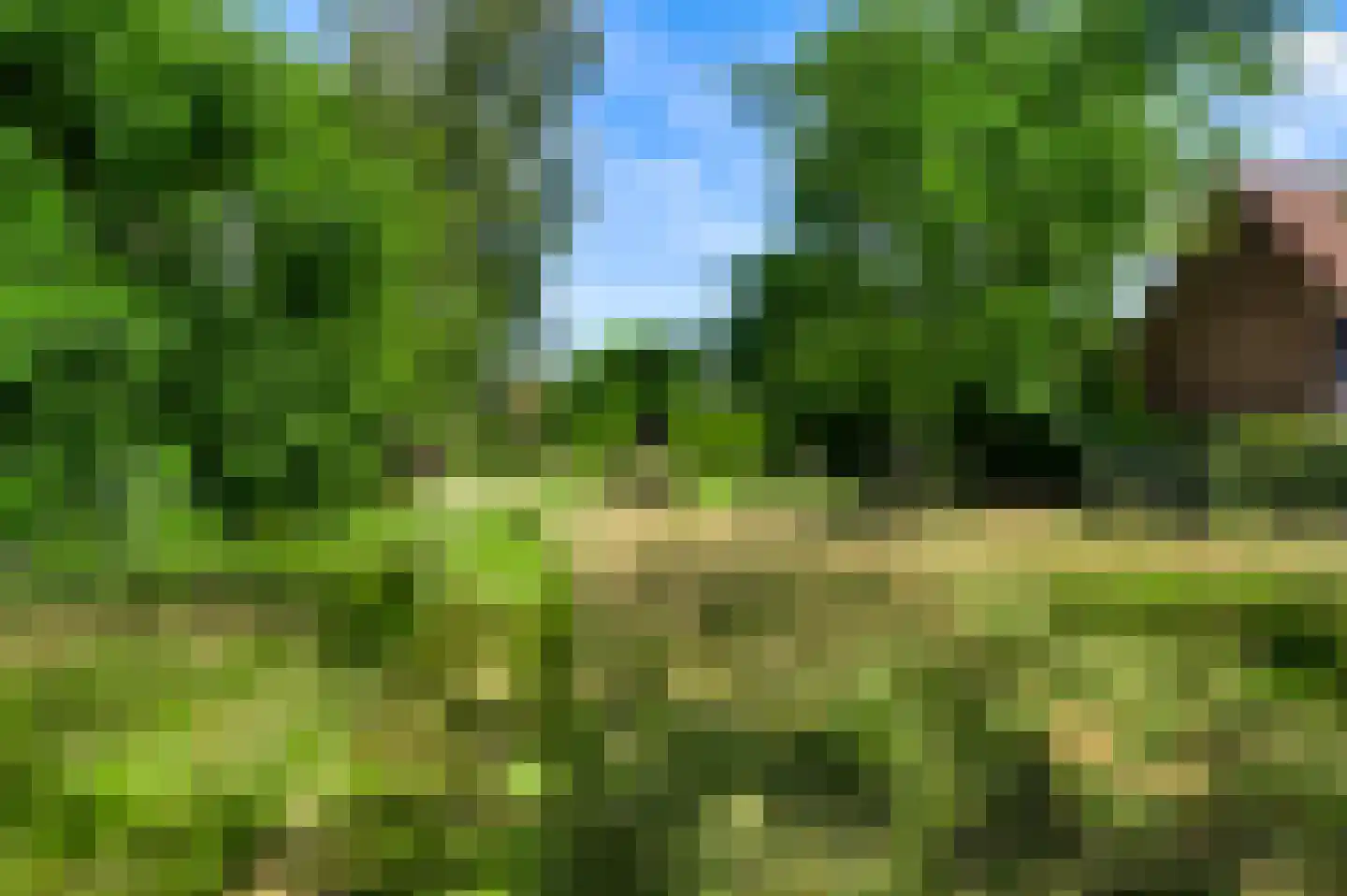 Mortel 10 Roggel thumbnail 79