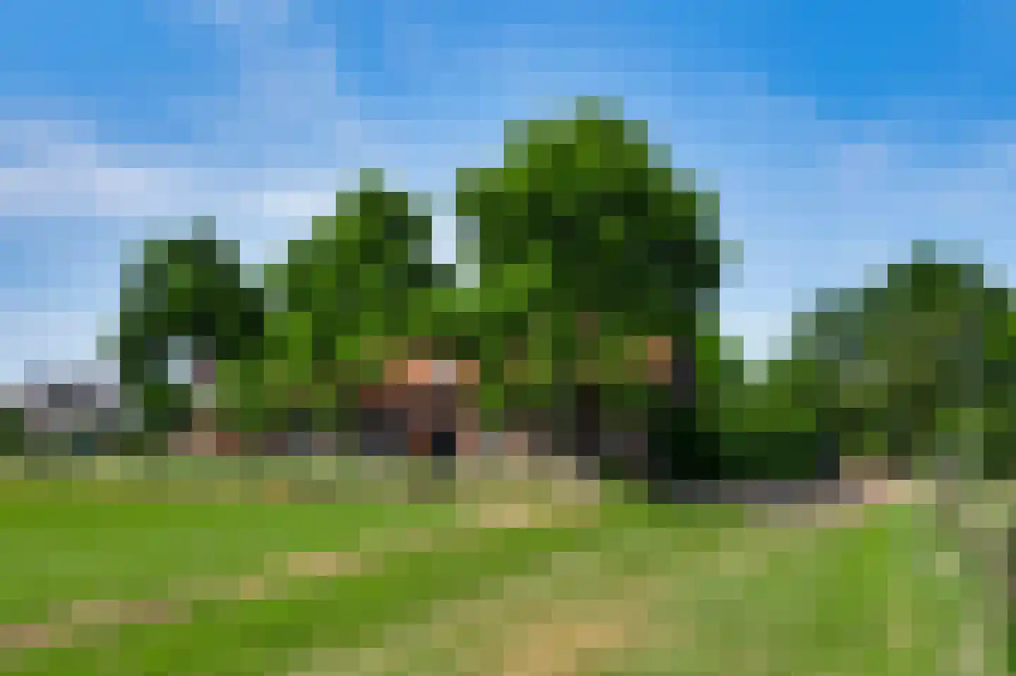 Mortel 10 Roggel thumbnail 91