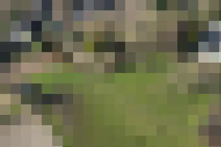 Mortel 23 Mook thumbnail 61