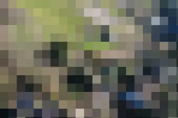 Mortel 23 Mook thumbnail 64
