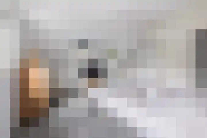 Mortel 23 Mook thumbnail 70
