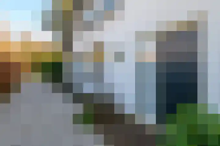 Mortel 23 Mook thumbnail 8