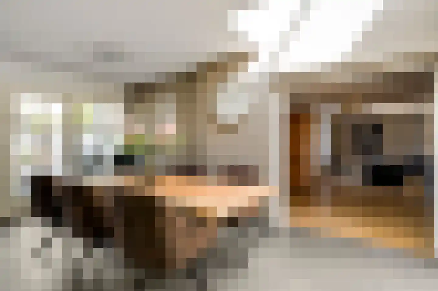 Mortel 32 Roggel thumbnail 19