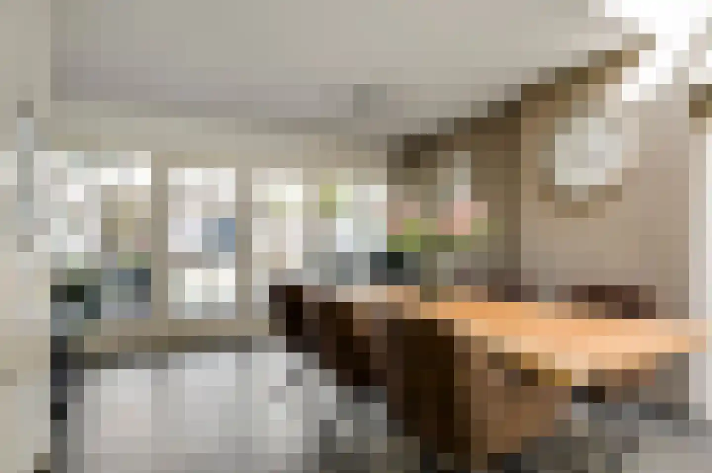 Mortel 32 Roggel thumbnail 20