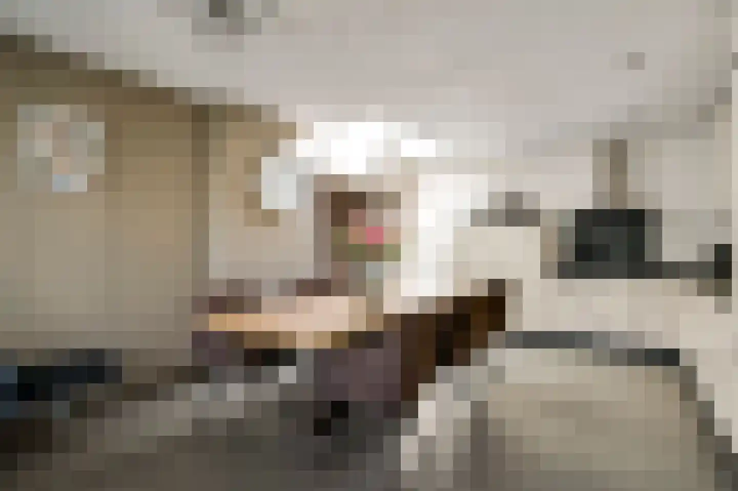 Mortel 32 Roggel thumbnail 21