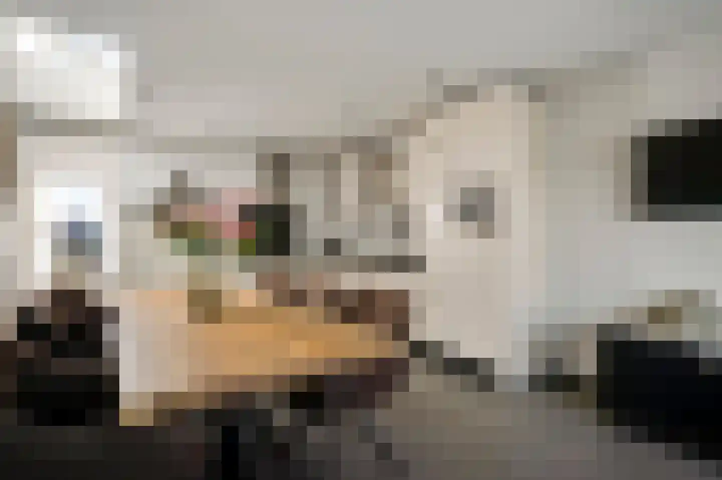 Mortel 32 Roggel thumbnail 22