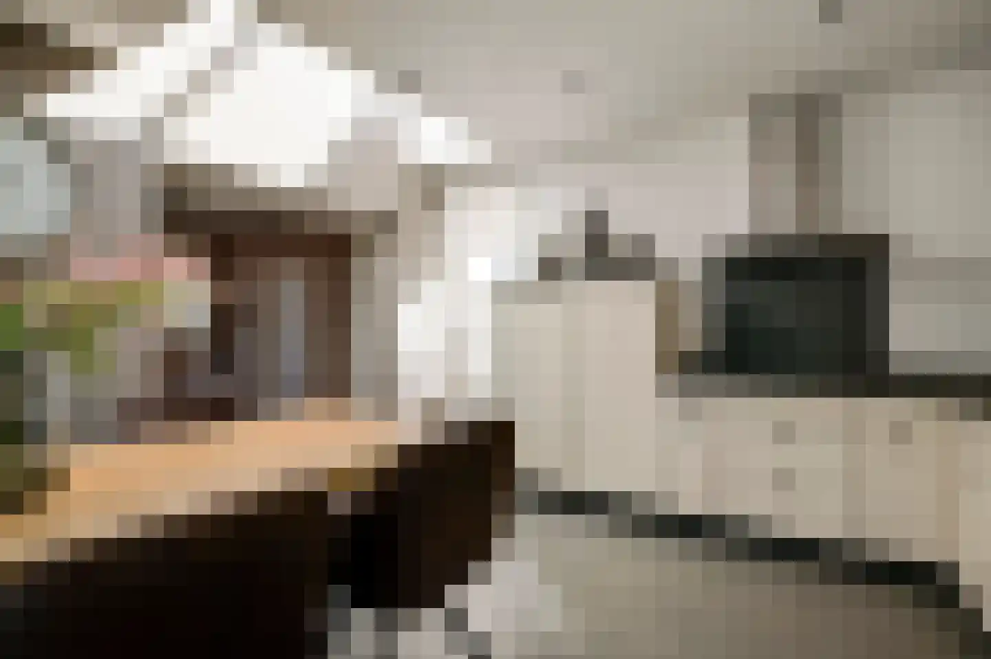 Mortel 32 Roggel thumbnail 23