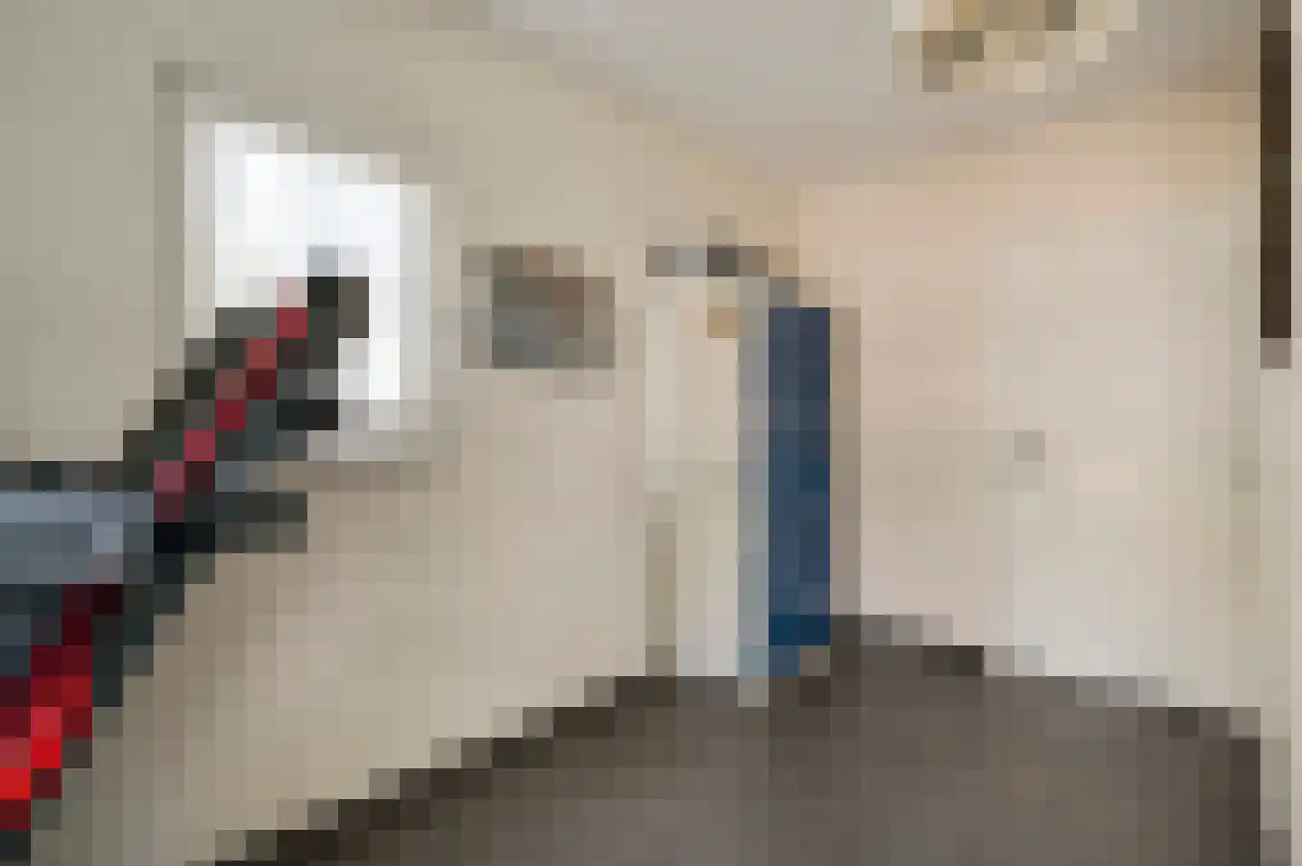 Mortel 32 Roggel thumbnail 26