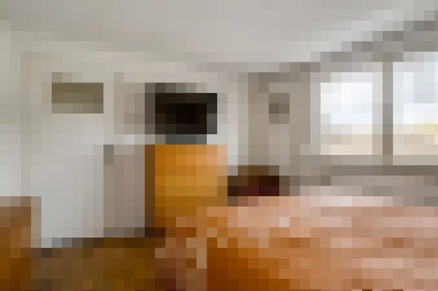 Mortel 32 Roggel thumbnail 31