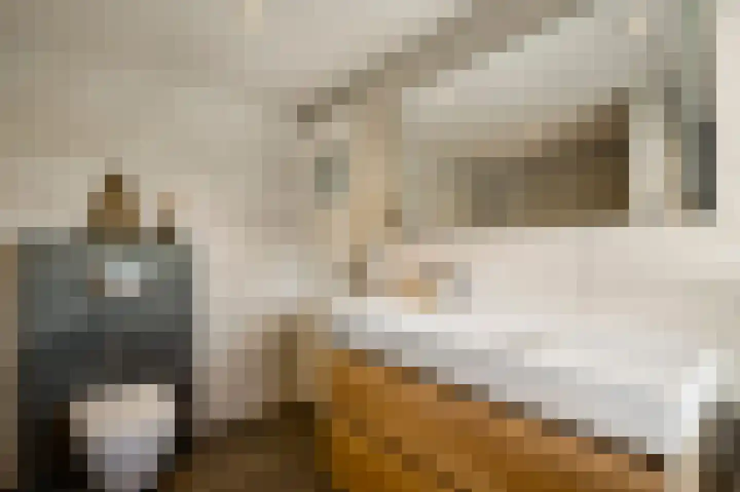 Mortel 32 Roggel thumbnail 32