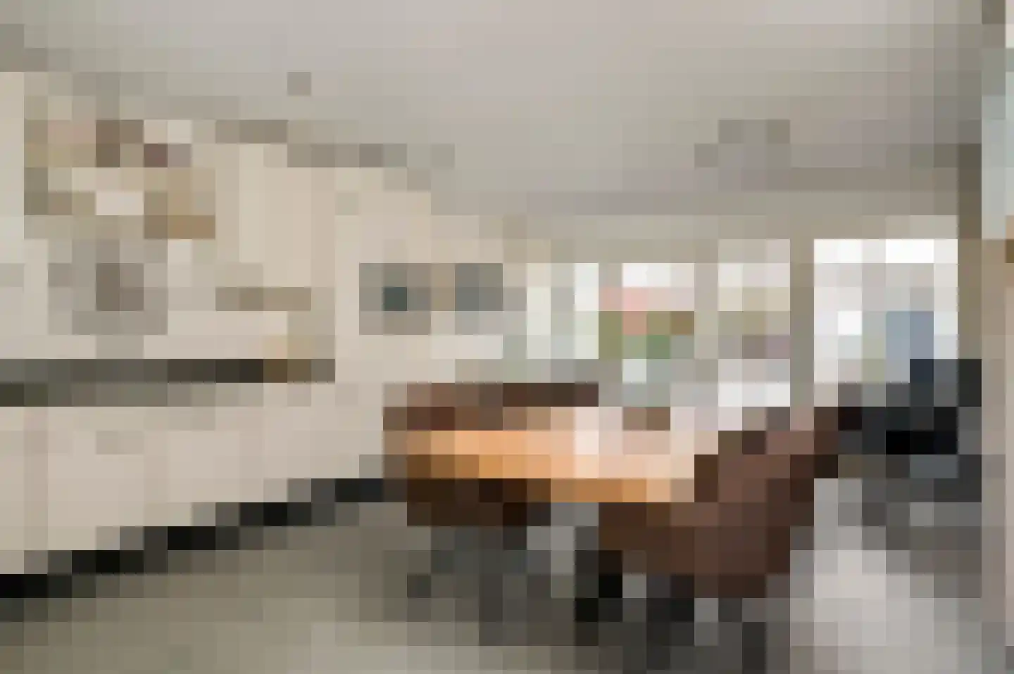 Mortel 32 Roggel thumbnail 4