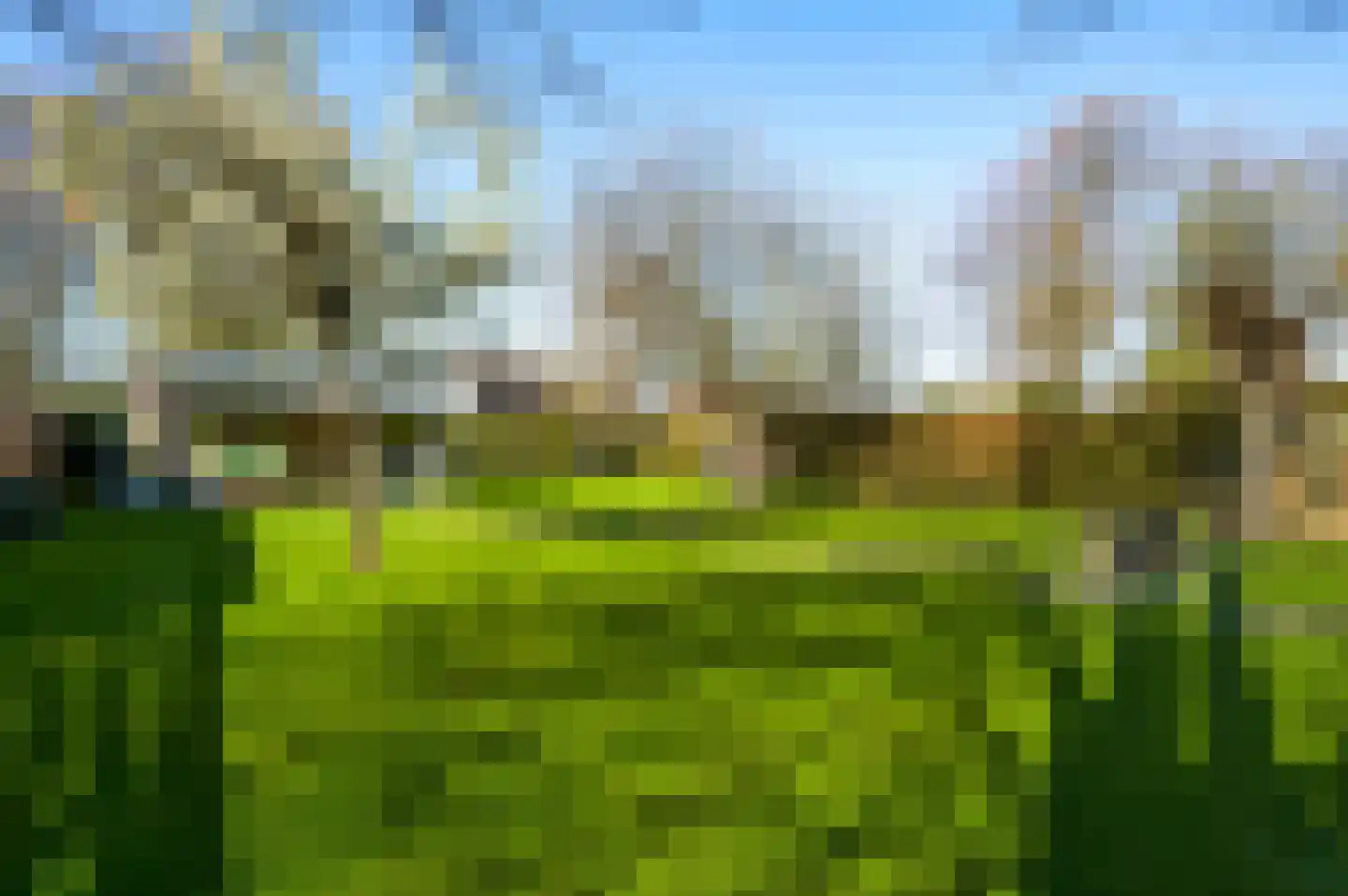 Mortel 32 Roggel thumbnail 56