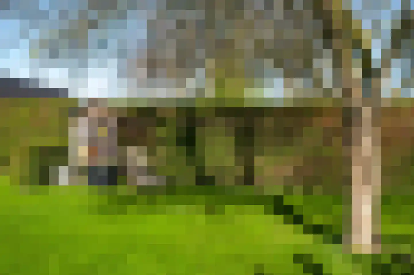 Mortel 32 Roggel thumbnail 57