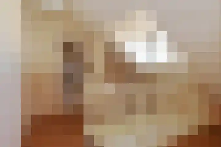 Mortel 33 Roggel thumbnail 16