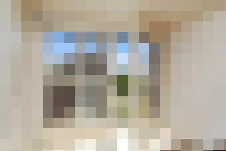 Mortel 33 Roggel thumbnail 22