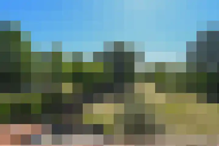 Mortel 33 Roggel thumbnail 23