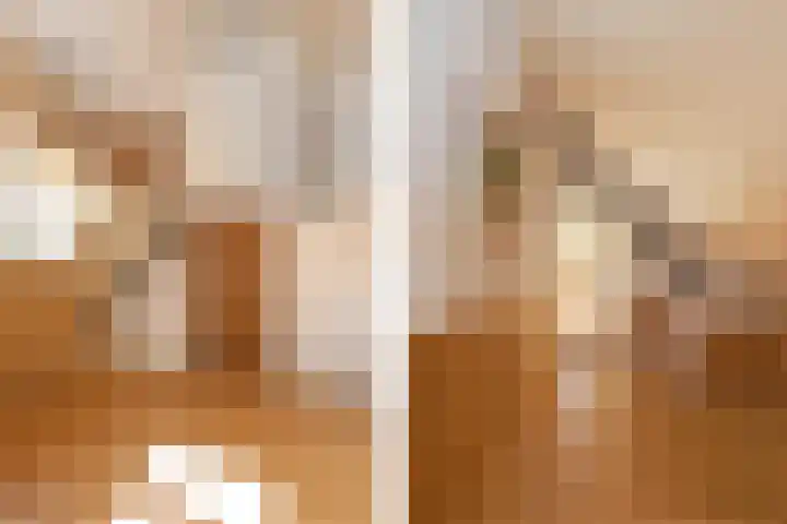 Mortel 33 Roggel thumbnail 42