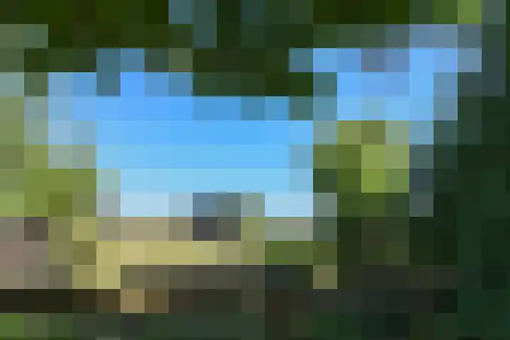 Mortel 33 Roggel thumbnail 60