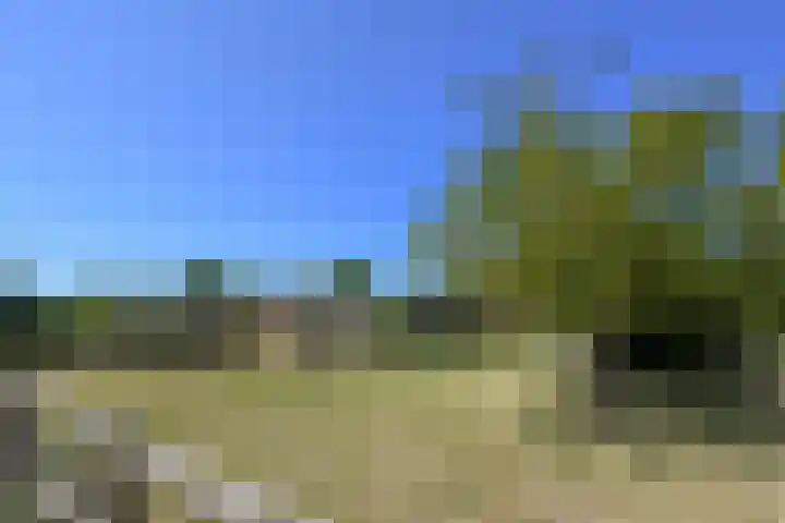 Mortel 33 Roggel thumbnail 69