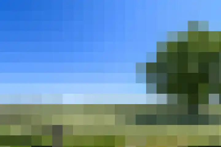 Mortel 33 Roggel thumbnail 70