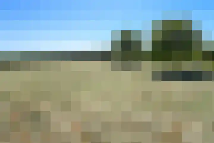 Mortel 33 Roggel thumbnail 71